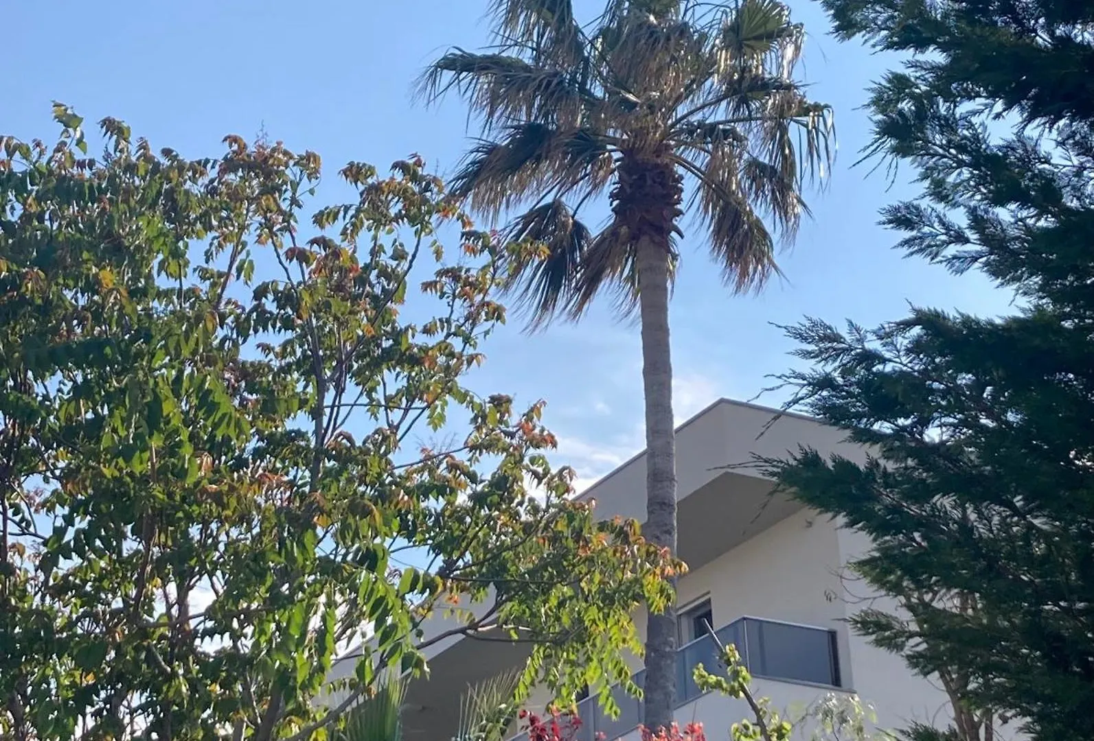 בארי Blue Sea Luxury Lodge